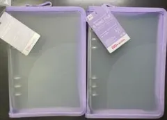 Item thumbnail for item a373bbfe-184b-453c-9100-d4fef72099e4