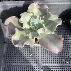 じゅんじゅん様 リクエスト 4点 まとめ商品