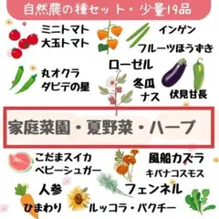 夏野菜の種　１９種・家庭菜園向け・ハーブティー・花　種セット　自然農