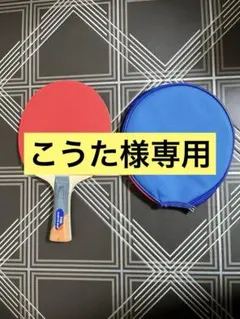 TSP GIANT＋α BLUE 卓球　ラケット