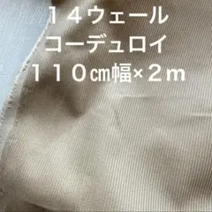 １４ウェール　コーデュロイ　ベージュ系 ２m