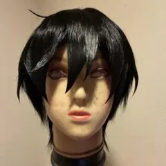 あんさんぶるスターズ あんスタ 氷鷹北斗 コスプレ ウィッグ