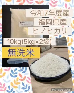 令和7年産 【ヒノヒカリ】 10キロ 農家直送 愛媛産 白米 お米 - メルカリ