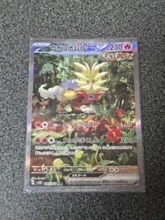 ウガツホムラex SAR スカーレット&バイオレット
