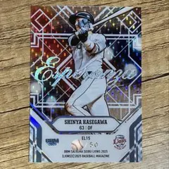 Item thumbnail for item 92a22ae4-c568-49c0-9517-d292a3906d1a