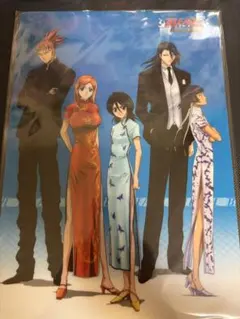 Bleach 特典 朽木ルキア 井上織姫 砕蜂 ヒートザソウル3 5特典　下敷