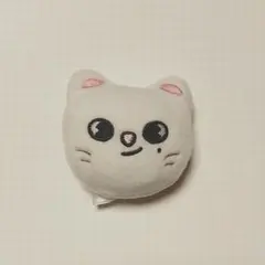 スキズ マグネット ぬいぐるみ SKZOO 2025年最新】SKZOO ぬいぐるみ マグネットの人気アイテム - メルカリ