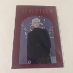 SEVENTEEN ジョシュア WINTER KUJI 一番くじ D賞