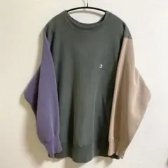 Champion Reverse Weave マルチカラースウェット Lサイズ