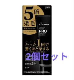 【2個セット】LUCIDO ルシード カラーリンスPRO パーフェクトブラックのサムネイル