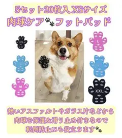 わんちゃんの肉球をしっかりガード！　 フットパッド5セット（20枚入）XSサイズ