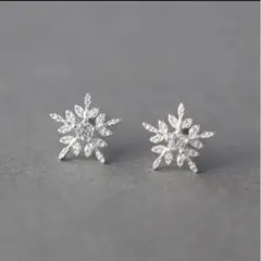 雪の結晶デザイン シルバーピアス