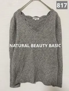 817 NATURAL BEAUTY BASIC Vネックニットプルオーバー