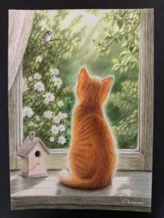 色鉛筆画A4エーゲ海を見つめる黒猫 - メルカリ
