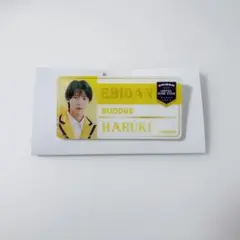 BUDDiiS HARUKI ネームバッジ