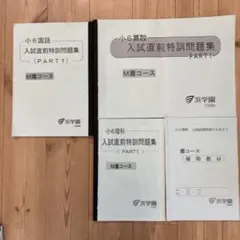 2026年最新】浜学園 小6 志望校別特訓問題集の人気アイテム - メルカリ
