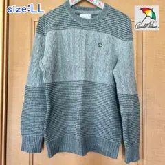 【美品】Arnold Palmer グレー LL ニット・セーター