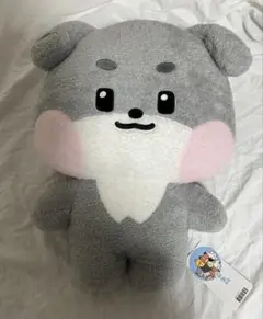 zeroni フラットぬいぐるみ ゴヌク gunini ゴニニ zb1 ゼベワン - メルカリ