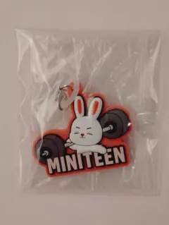 MINITEEN ガシャポン　ぷっくりめじるしアクセサリー　エスクプス