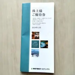東急不動産ホールディングス　株主優待券 2024年12月（〜2025.8.31）