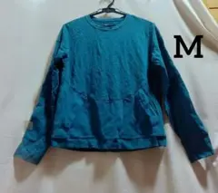 Item thumbnail for item 4f98a5c6-4e56-41fd-8fe4-e180d6cff031