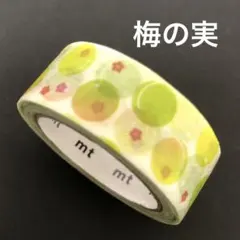 さくら様 リクエスト 2点 まとめ商品