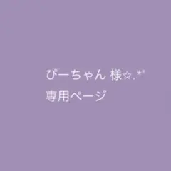 ぴーちゃん様専用ページ✩.*˚