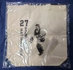 Item thumbnail for item 6db4218a-8c5f-4ab6-95ed-0cf6f3048800