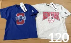 MLB カブス　ヤンキース　Tシャツセット　新品120 メジャーリーグ　野球