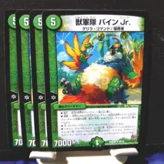 デュエルマスターズ　獣軍隊　パインJr. 4枚