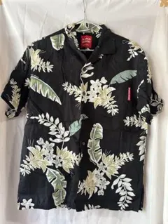 Item thumbnail for item b729f7bd-746a-4946-994a-7cc10e804ce1