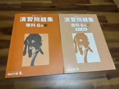 2025年度版、四谷大塚『予習シリーズ演習問題集理科』小6上、解答付き