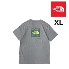 ノースフェイス 半袖 Tシャツ US ボックスロゴ(XL)グレー 180902