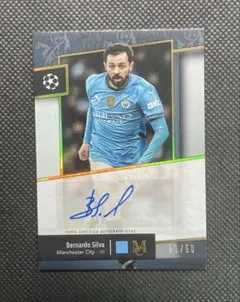 Item thumbnail for item 3f31db3b-f492-4709-80f5-17fd060c5bce