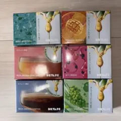 DR.VAPE モデル3 フレーバー6個セット
