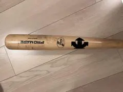 Item thumbnail for item e9d9720d-27b5-4491-b853-8893277174f8