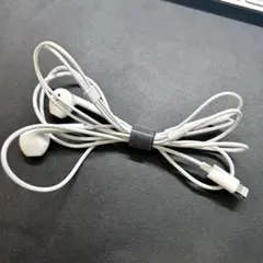 【純正新品】 Apple EarPods 有線イヤホン Lightning