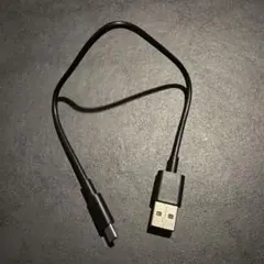 USB-A to USB-C ケーブル 約30cm 黒