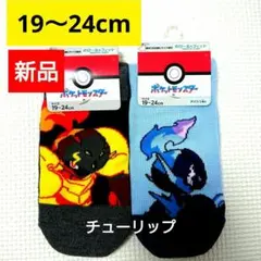 グレンマルマ ソウブレイズ ポケモン新品靴下ソックス19～24cm スニーカー丈