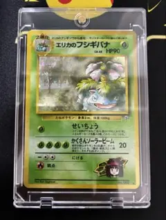 【旧裏】エリカのフシギバナ 他２枚