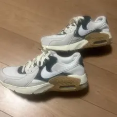 ナイキ エア マックス エクシーnike