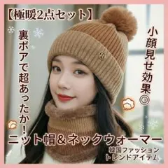 ニット帽 ネックウォーマー 2点セット ブラウン 極暖 韓国 裏ボア 防寒