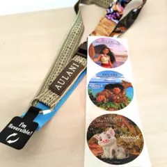 アウラニディズニーリゾート。リバーシブルストラップ ＆DVCステッカーモアナ2