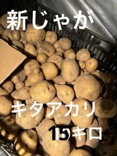 新鮮なじゃがいも 収穫野菜のサムネイル
