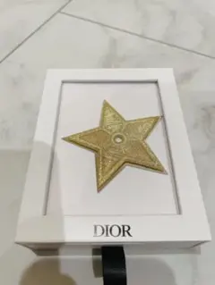 Dior ランクアップ特典 非売品 ピンバッチ ブローチ ノベルティ