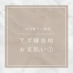 ~6/15発送 アズ様専用 お支払い①