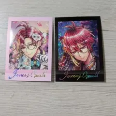 あくねこ　フェネス　ぱしゃこれ