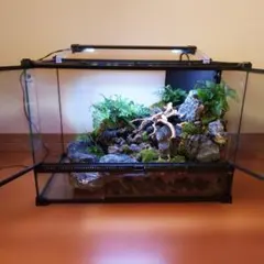 Item thumbnail for item c9811c95-e36d-488b-a91a-e20ad6ad7de8