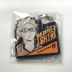 ハイキュー!! 一番くじ 最強の挑戦者 H賞 ラバーチャーム 月島蛍