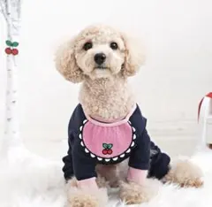 Item thumbnail for item 66336ae9-5d75-4d83-b816-61fe2f04eb66